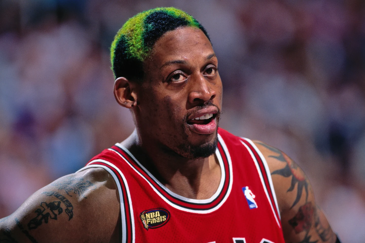 Dennis Rodman Incarnations